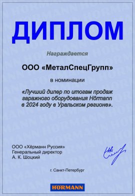Диплом 2024