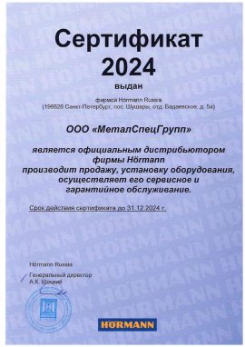 Сертификат 2024 МеталСпецГрупп